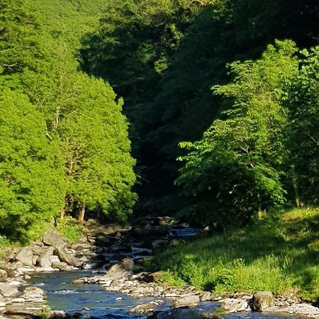 River Cottage Lynmouth Exterior foto